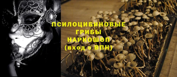 амф Алексеевка