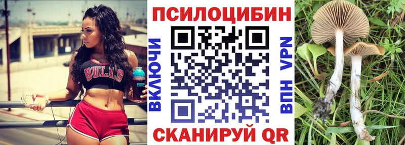 Галлюциногенные грибы Psilocybine cubensis Салехард