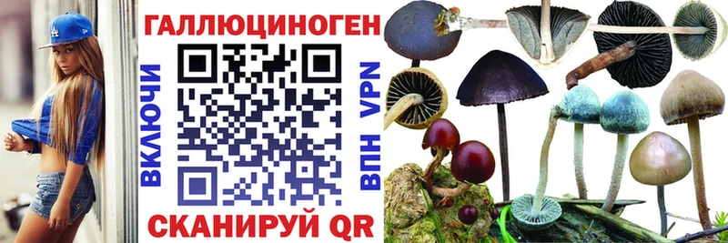 блэк спрут маркетплейс  Салехард  Псилоцибиновые грибы мухоморы 